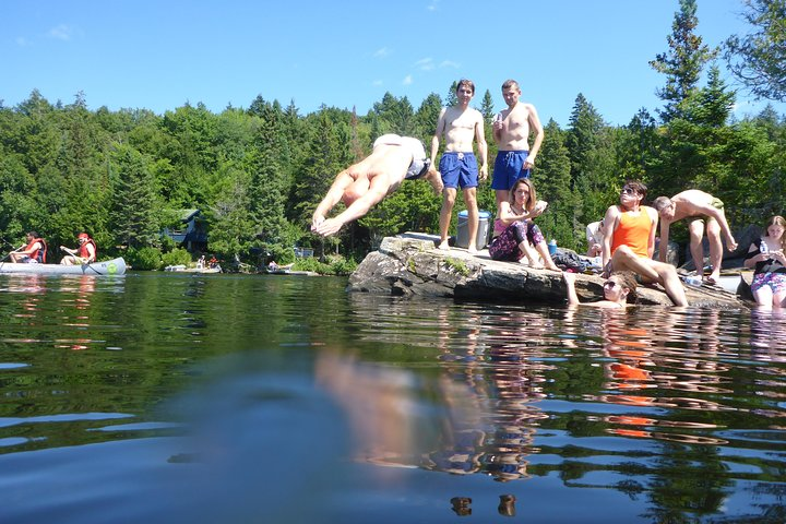 Algonquin Provincial Park Day Tour from Toronto in Toronto Pelago