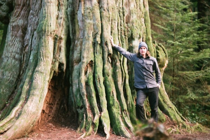 Ancient Trees of Vancouver Walking Tour - Photo 1 of 9