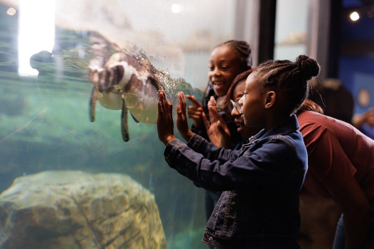 Aquarium of Niagara: Entry Ticket - Photo 1 of 10
