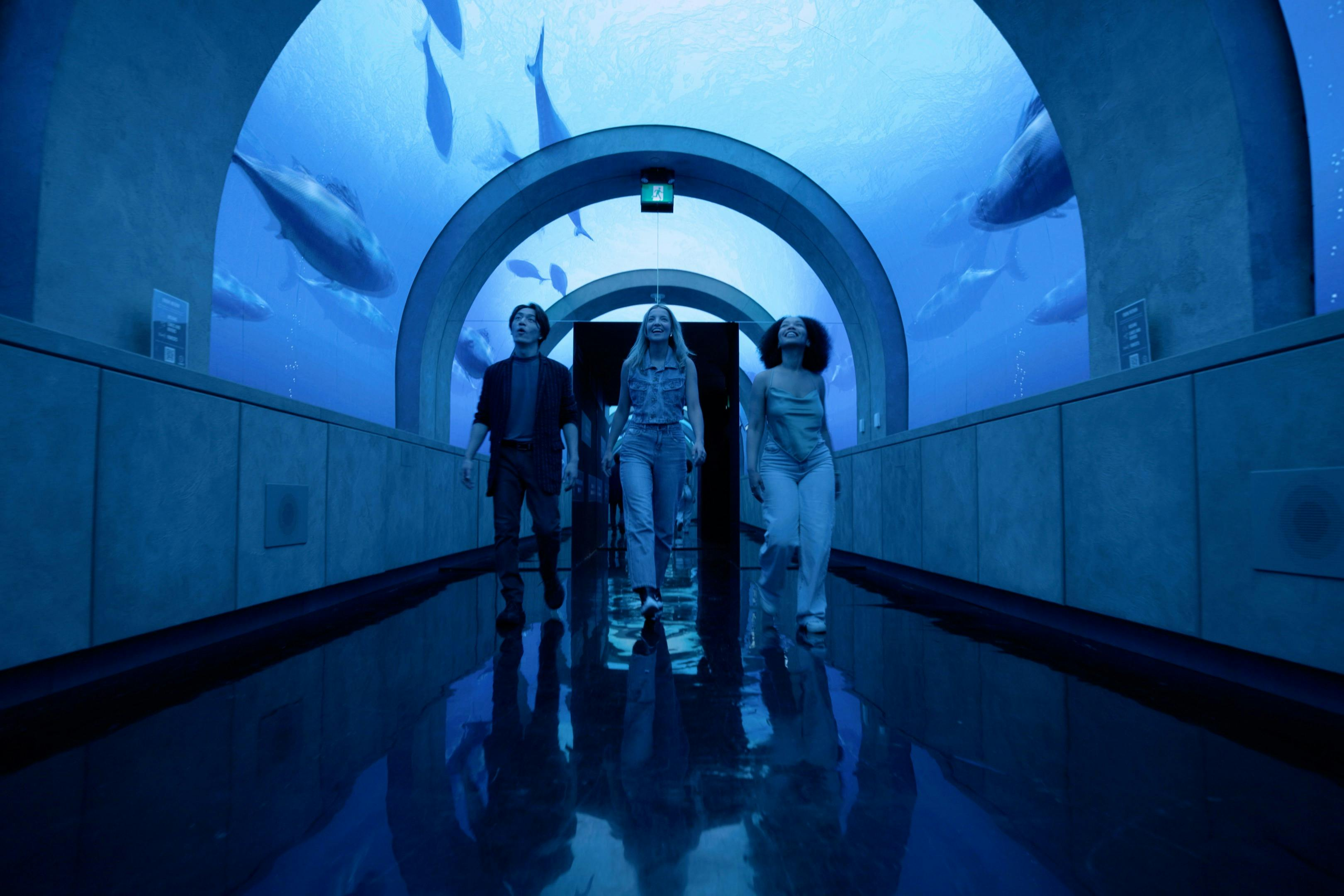 Arcadia Earth Toronto: Anytime Entry Ticket - Photo 1 of 6