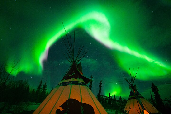 Arctic Day: Aurora Viewing Tour | late night - Photo 1 of 13