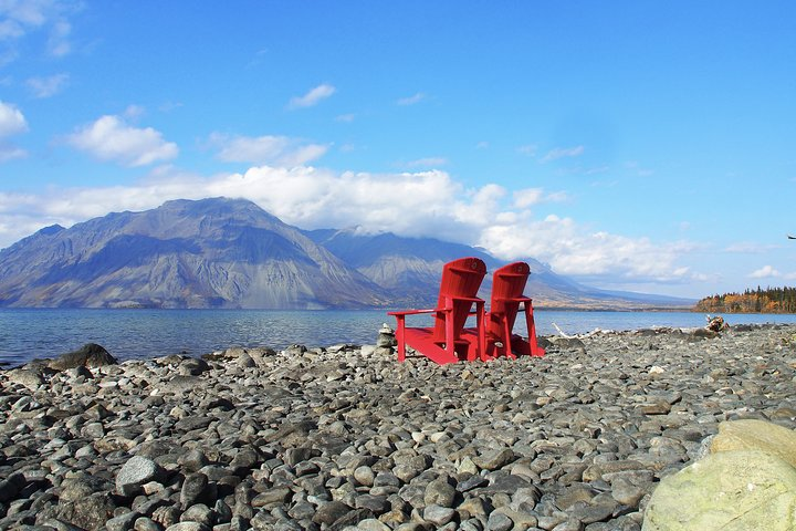 Arctic Day: Kluane National Park Tour | full day - Photo 1 of 12