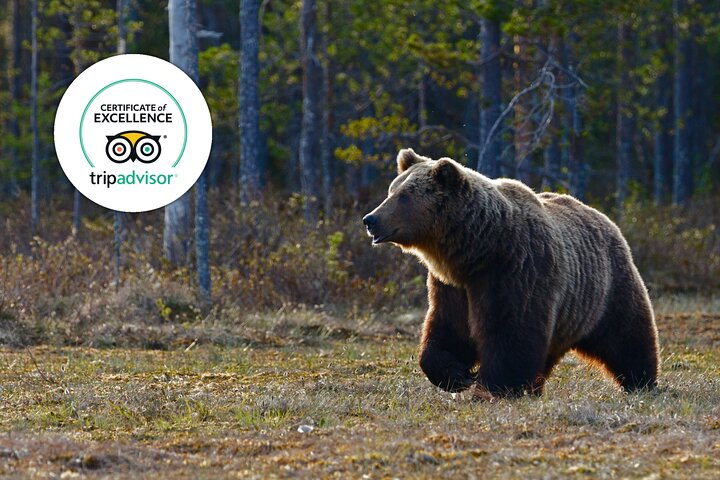 Banff Highlights & Wildlife | Award-Winning Small Group Adventure - Photo 1 of 25