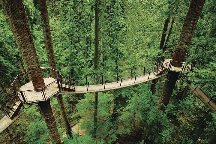 Best of Vancouver Highlights /Suspension Bridge/ Free Pizza Party Tour Private - Photo 1 of 12
