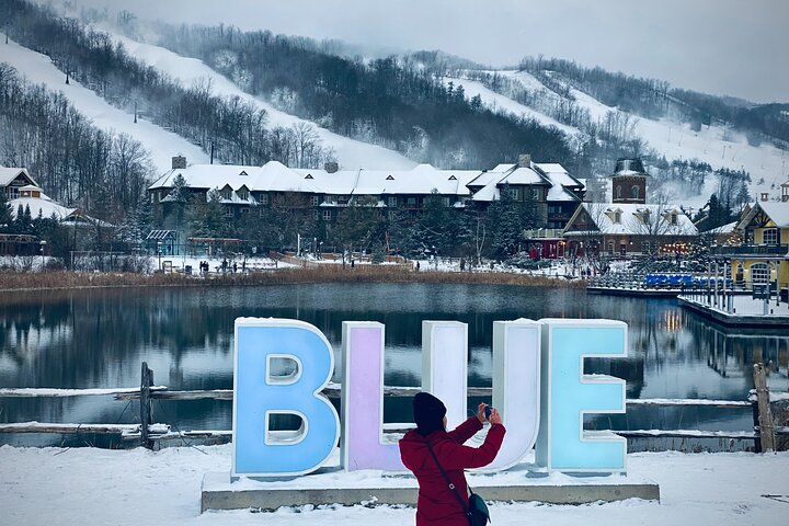 Blue Mountain and Scenic caves of Collingwood - Photo 1 of 11