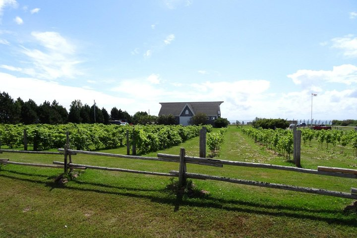 Central PEI Winery, Apiary and Mead Tasting Tour - Photo 1 of 6
