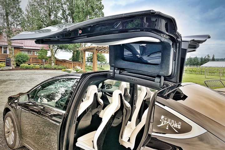 Model X at Unsworth Vineyards