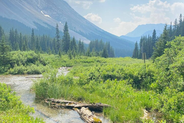 Custom Guided Hike in Canmore Kananaskis - Photo 1 of 7