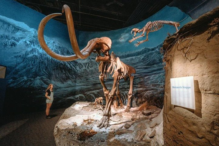 Royal Tyrrell Museum