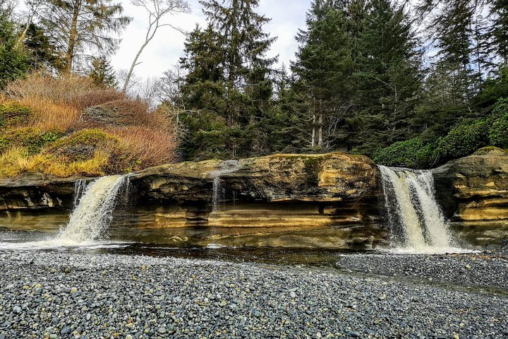 Sooke to Port Renfrew: Wild Pacific Adventure - Photo 1 of 8