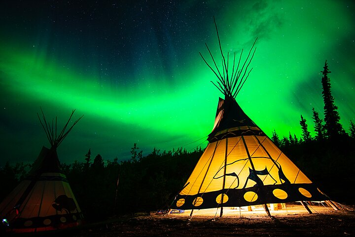 Discover Whitehorse with Northern Lights and Yukon Wildlife Tour - Photo 1 of 17