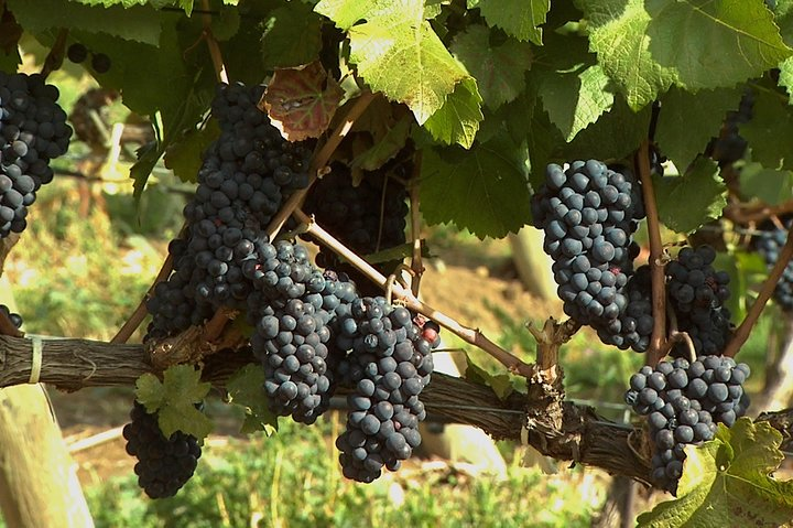 In the beginning....