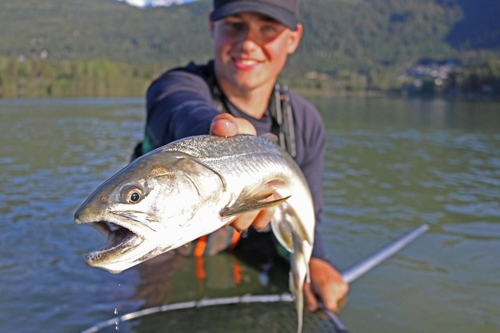 Bull Trout 