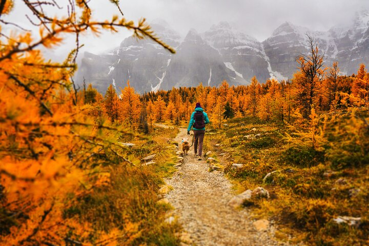 Moraine Lake: Larch Valley Hike, Departure from Banff - Photo 1 of 12