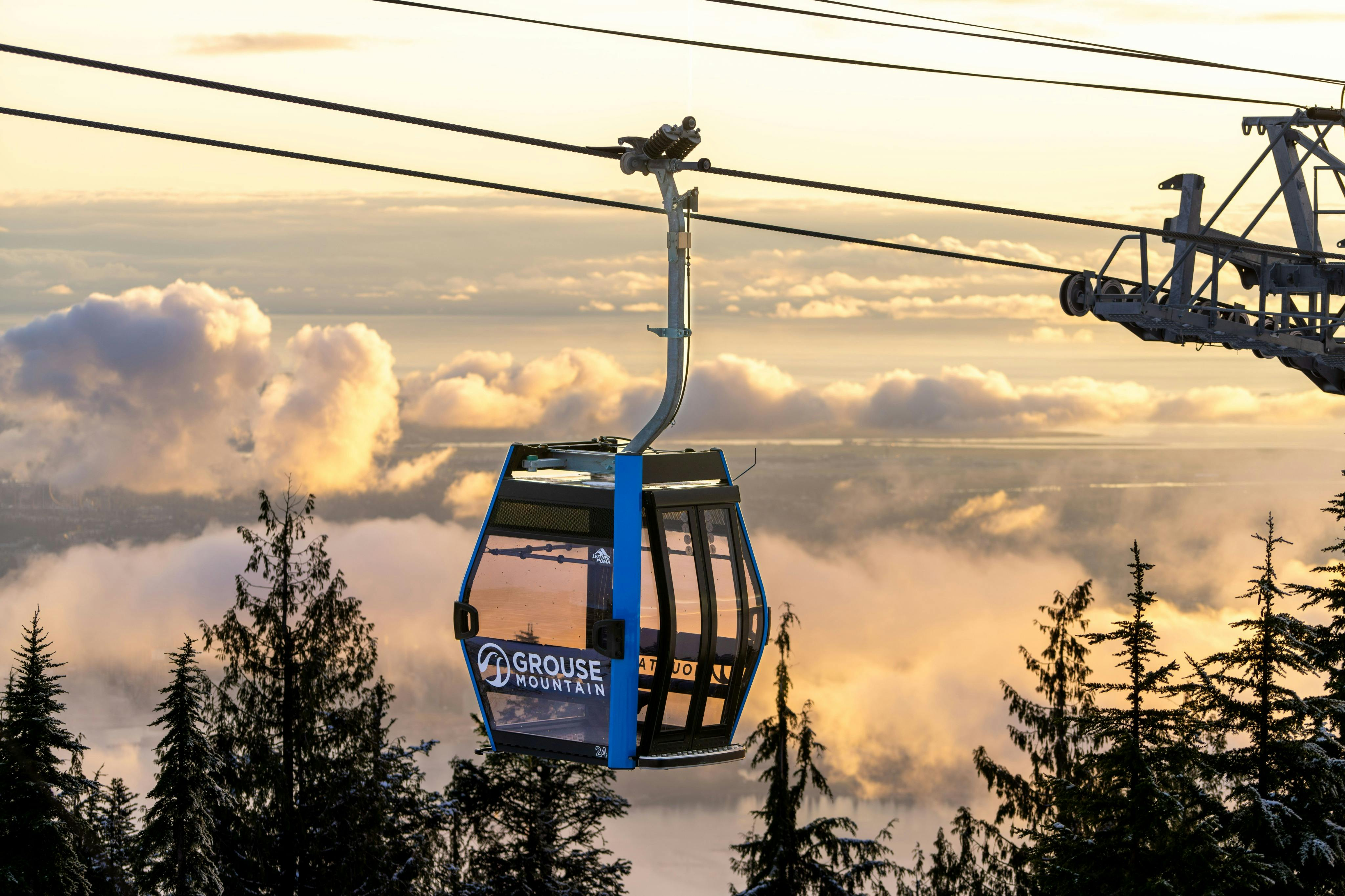 Grouse Mountain & Capilano Suspension Bridge Park: Guided Tour - Photo 1 of 13