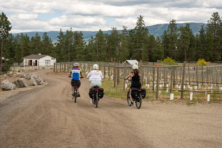 Kelowna Guided E-Bike Wine Tour with Tastings and Okanagan Lunch - Photo 1 of 25