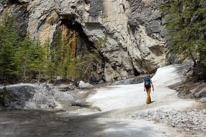 Canyon Seeps