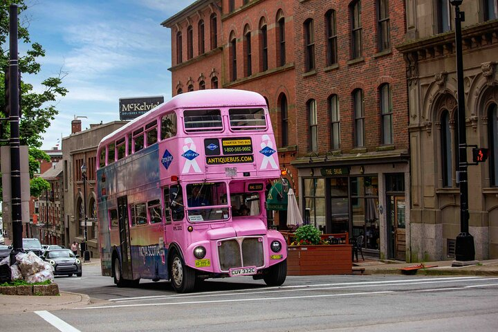 Big Pink Double Decker Bus makes its way through the streets of Halifax