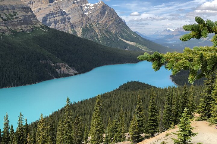Icefields Pkwy: Lake Louise | Bow | Peyto|Glacier - PRIVATE TOUR - Photo 1 of 10