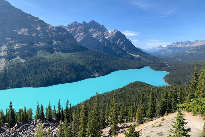Lake Louise, Moraine Lake and the Icefields Parkway Full-Day Tour - Photo 1 of 15