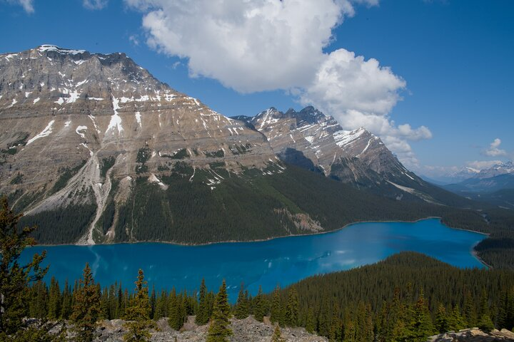 Full Day Tour-Moraine Lake, Lake Louise, Peyto Lake,... - Photo 1 of 9