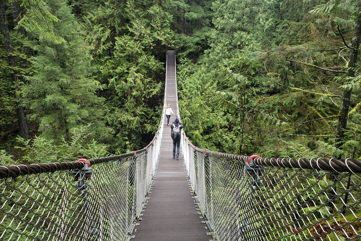 Photography in Rainforest & Suspension Bridge - Photo 1 of 9