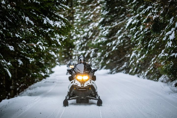 Guided Snowmobile Tours - 2hrs - Photo 1 of 8