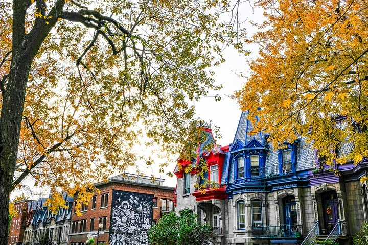 Montreal's Plateau Mont-Royal and Mile End Tour by MTL Detours - Photo 1 of 8