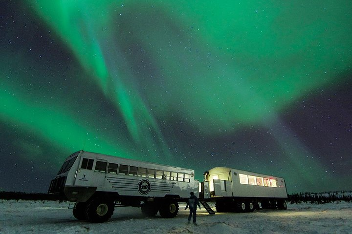 As the evening sky envelopes the Tundra in darkness, we look to the sky from the warmth of a Tundra Buggy, and watch as the heavens put on the sparkling grand finale.
