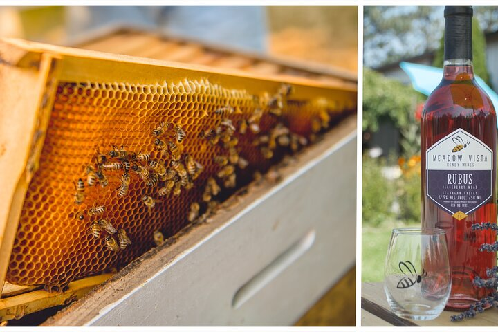 Enjoy honey wine and check out the bees!