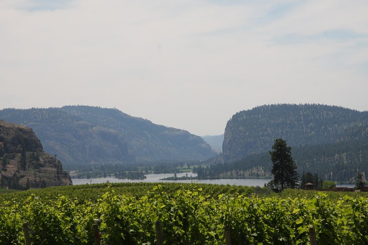 Okanagan Falls Private Wine Tour Full Day in Kelowna Pelago