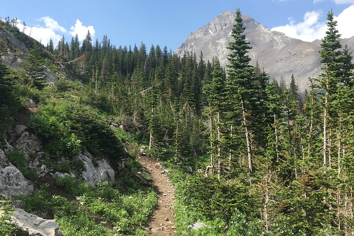 Paget Lookout and Sherbrooke Lake - Photo 1 of 2