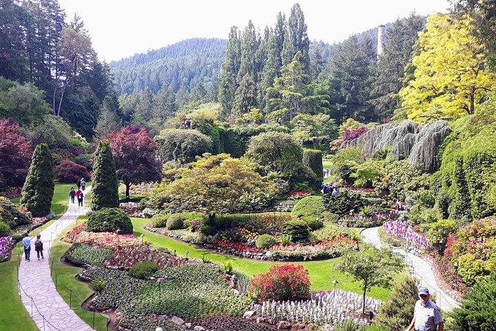 Peninsula Highlights - Photo 1 of 5