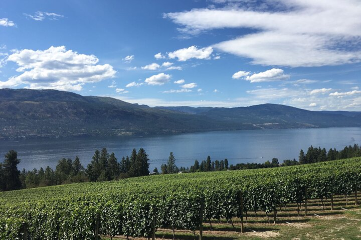 Private Boat Tour with Lunch Stop  - Photo 1 of 8