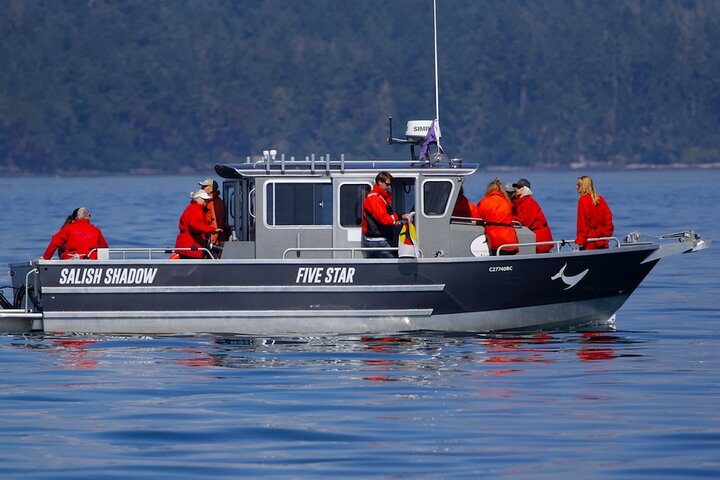 Perfect for families or small groups
