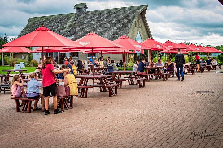 Private Customizable Niagara Wine, Beer, and Spirits Day Tour - Photo 1 of 7