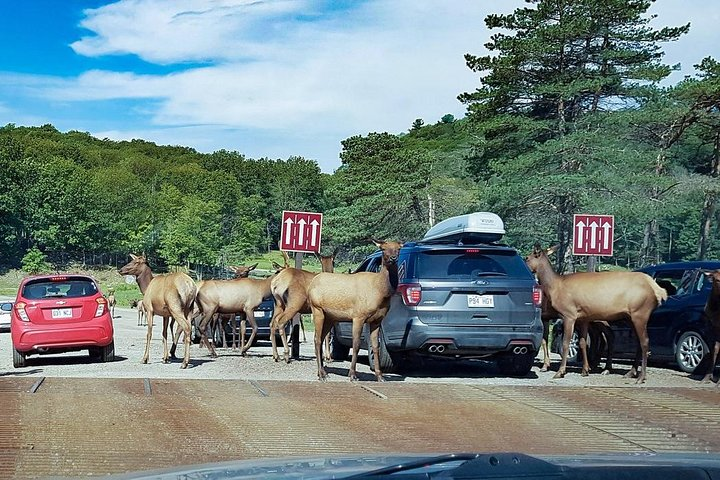 traffic jam