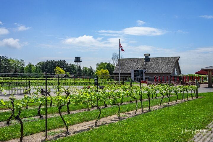 Private Half-Day Customizable Wine Tasting Day Tour of Niagara - Photo 1 of 5