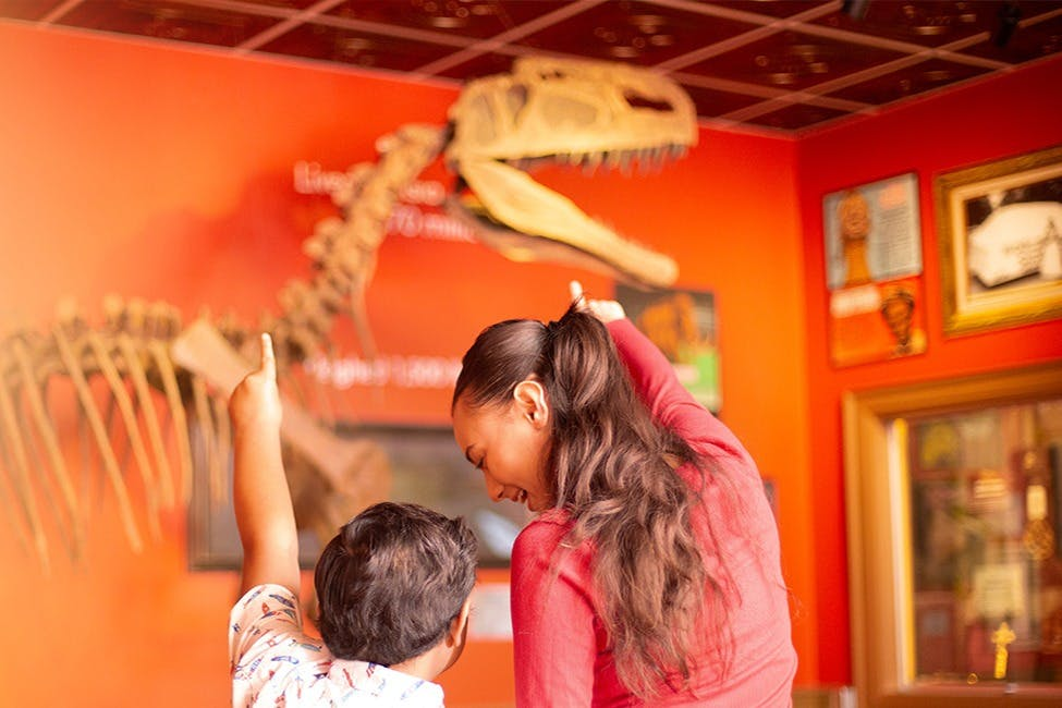 Ripley's Believe It or Not! Niagara Falls: Entry Ticket - Photo 1 of 8