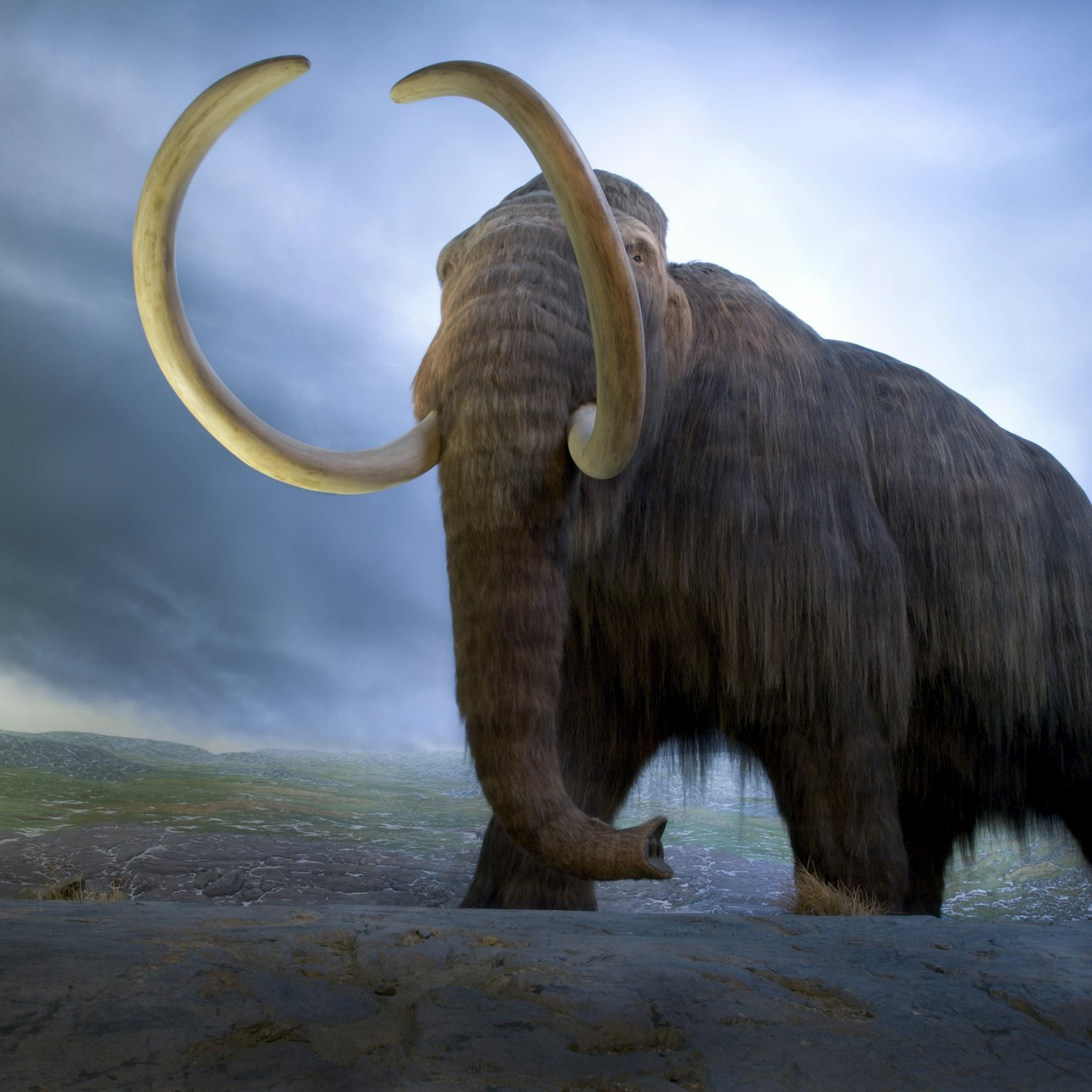 Royal BC Museum: Entry Ticket - Photo 1 of 19