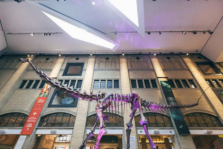 The ROM boasts one of the world's best collections of dinosaurs.