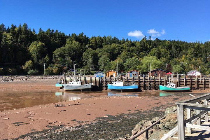 Shore Tours - Photo 1 of 8