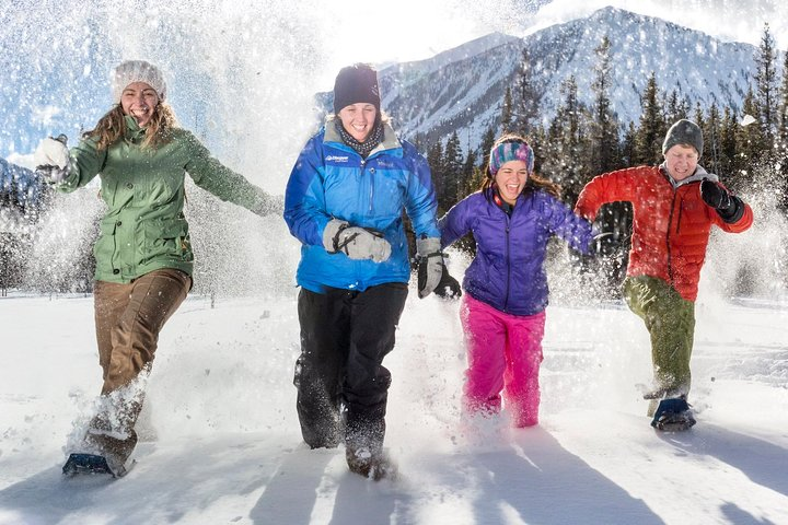 Snowshoe on an easy trail
