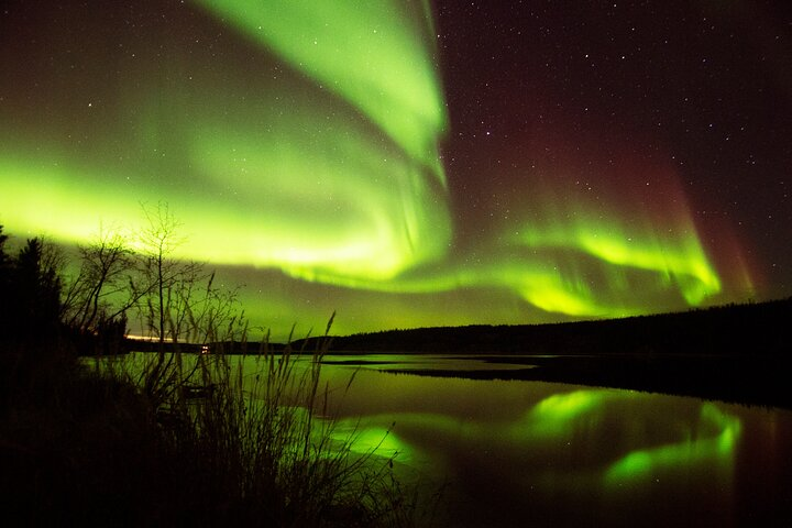 The Greatest Valuable Aurora Manor & Hunting Tour --Exclusive Tour Operator - Photo 1 of 16