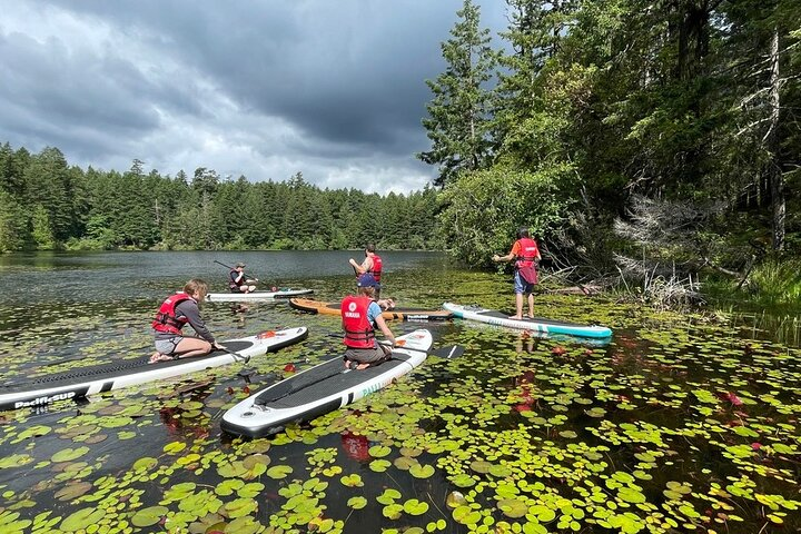 Thetis Lake Stand Up Paddle Boarding - Photo 1 of 8