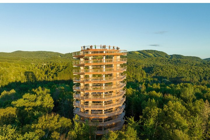Treetop Observatory and Walk - Photo 1 of 17