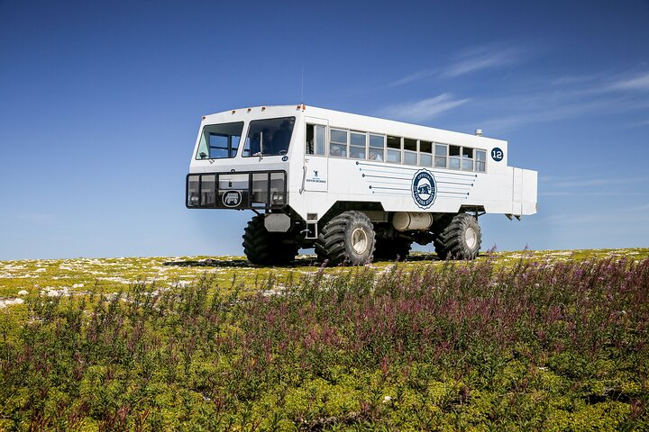 Tundra Buggy Summer Day Tours - Photo 1 of 7