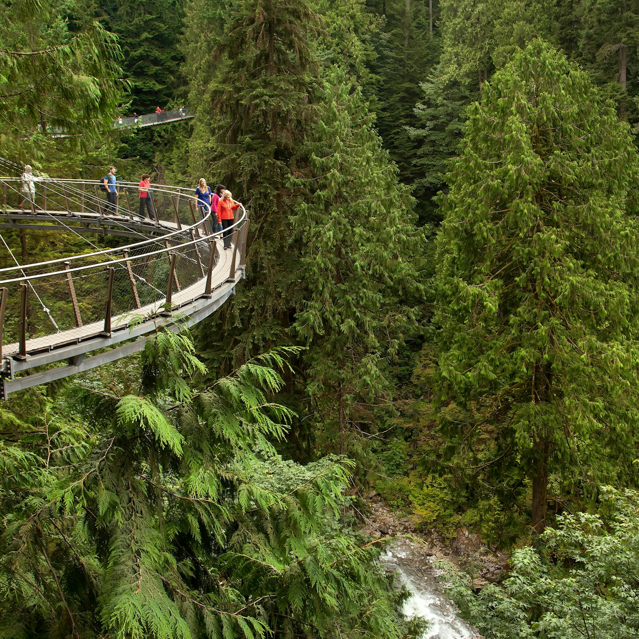 Vancouver: Guided Tour + Capilano Suspension Bridge Park Visit + Lunch - Photo 1 of 7