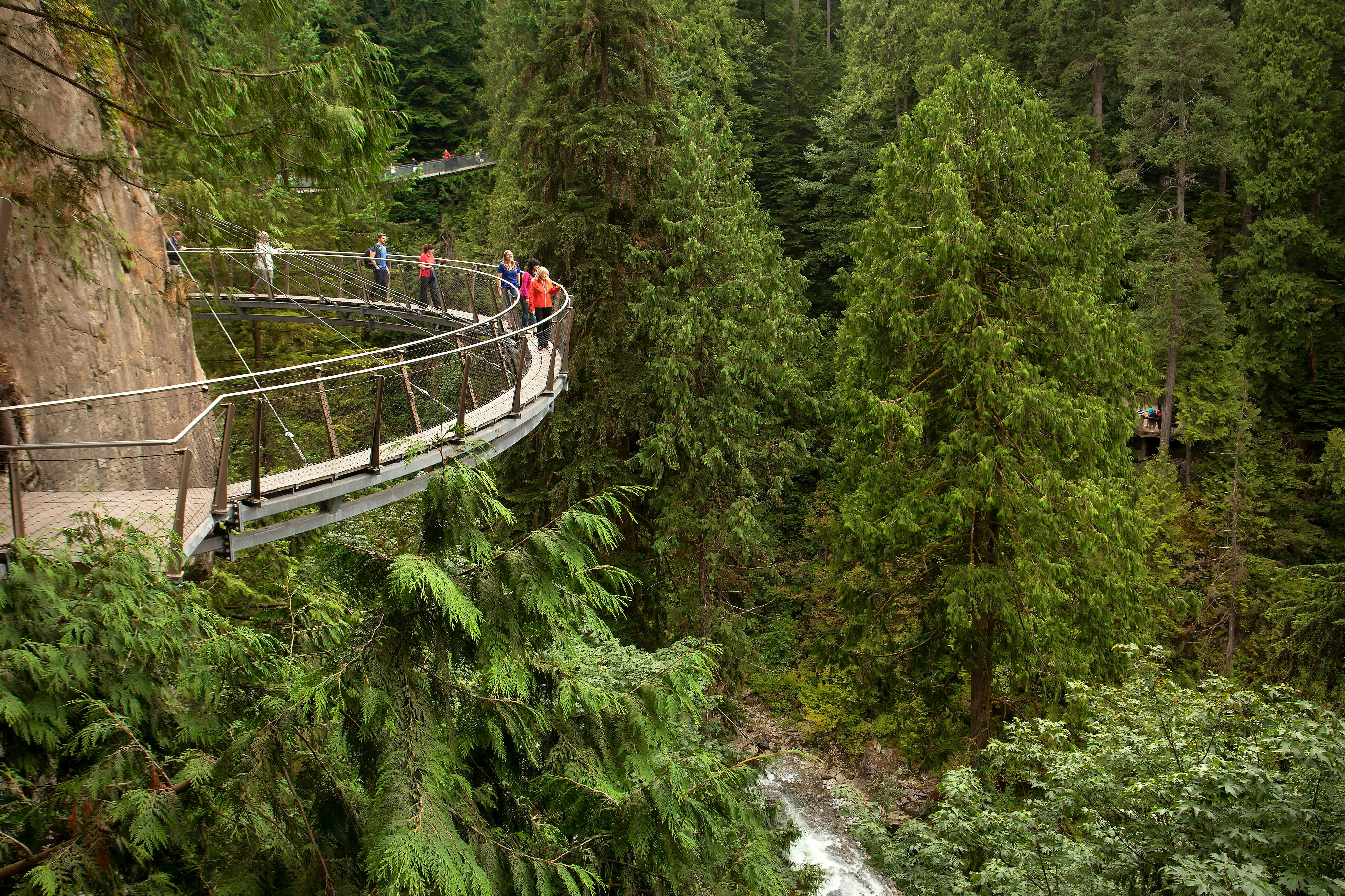 Vancouver: Guided Tour with Capilano Park Entry + Lunch at Grouse Mountain - Photo 1 of 7