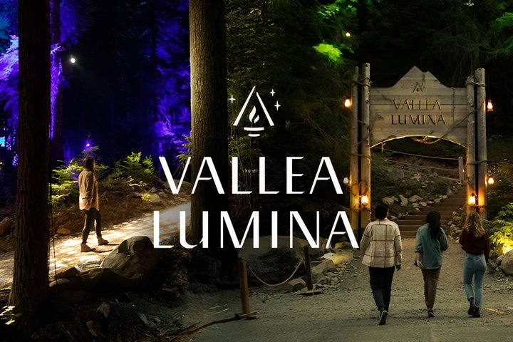 Vallea Lumina Multimedia Evening Experience - Photo 1 of 9